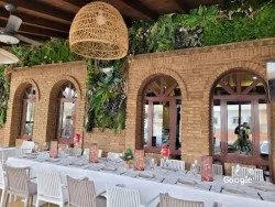 Vegetariana Casa Dolos Venta Alegre