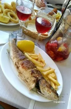 Mediterránea Calabaza