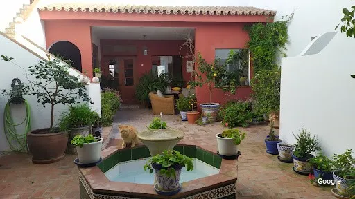 Other Spanish cuisines La Terraza