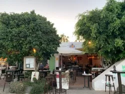 Mediterránea Bistro Arbol