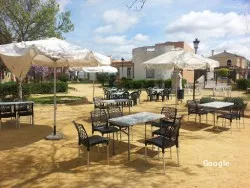 Vegetariana Cafetería heladería Zambra