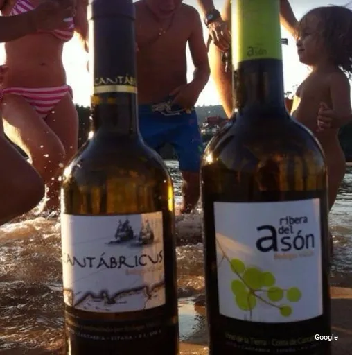 Vegetariana Enoturismo Bodegas Vidular