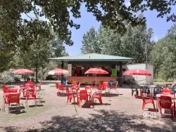 Vegetariana Kiosko Puente Viejo