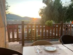 Vegano Al Solano