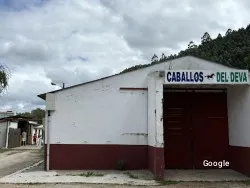 Vegetariana Parrilla Asador Caballos del Deva