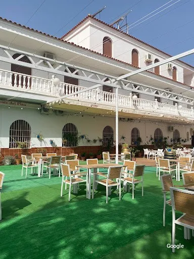 Vegetariana Mesón Fuente Del Pino