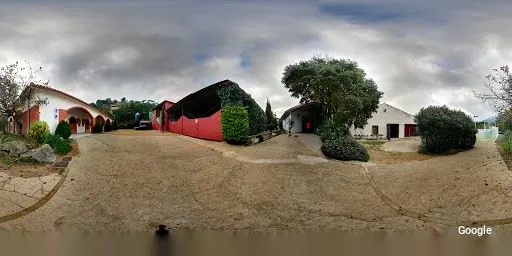 Vegetarian La Rostisseria Don Caballo