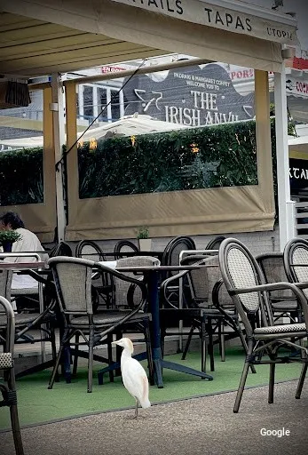 Vegetariana Restaurante Utopia