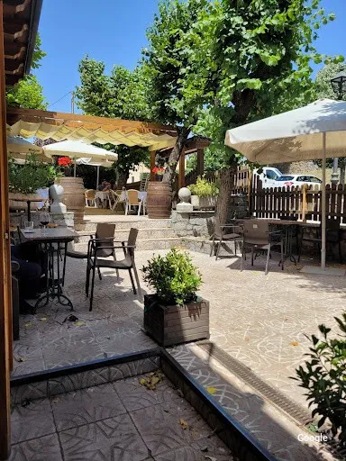 Other Spanish cuisines Meson Las Palomas