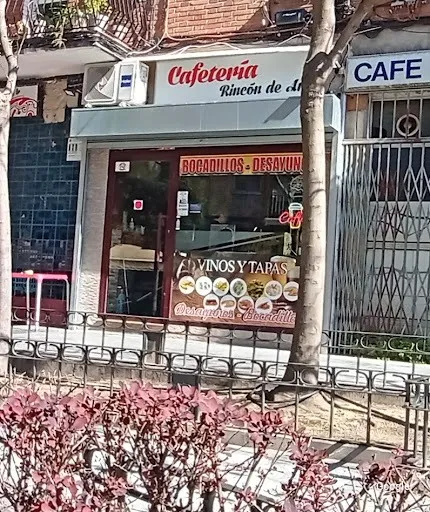 Vegetariana Rincon De Ani