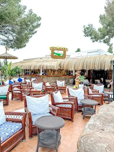 Vegetarian Atlantis Bar