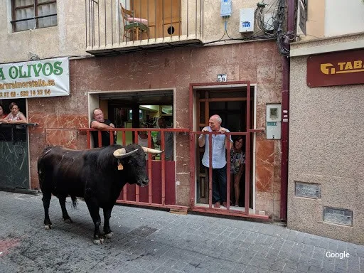 Vegetariana Bar Rubio