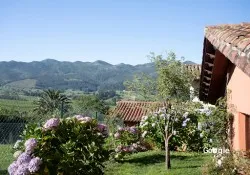 Otras cocinas españolas Restaurante Llagar Valleoscuru