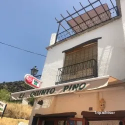 Vegetariana El Quinto Pino