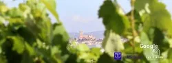Other Spanish cuisines La Bodega De Don Gil