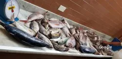 Otras cocinas españolas Cafe Placido