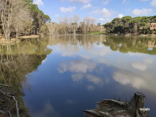 Otras cocinas españolas Llac Del Cigne