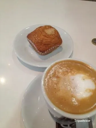 Tapas Copas Rotas