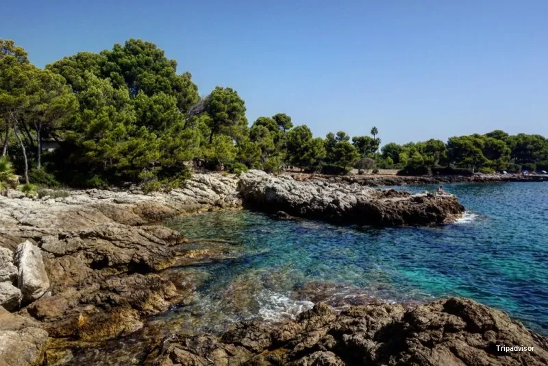 Altres cuines espanyoles Front de Sa Cala