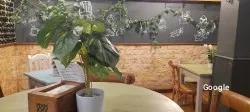 Fusión Guetaria Eventos