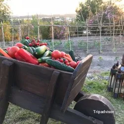 Vegetariana La Leyenda by leMarquis