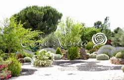 Altres cuines espanyoles Jardin Casa Rosita