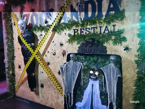 Barazki Jana Discoteca Zoolandia