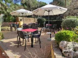 Mediterránea Restaurante L'Olivé