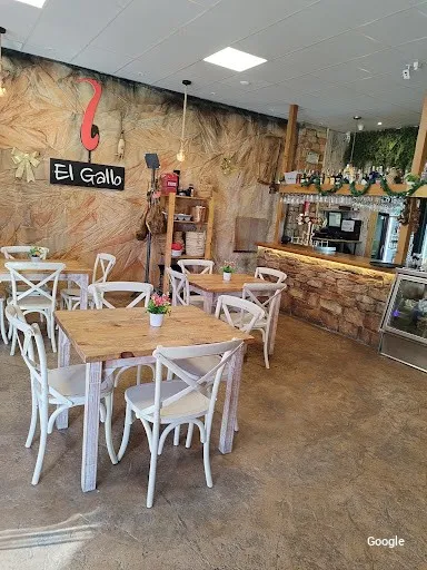 Vegetariana Taberna el Gallo