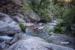 Mediterránea Baños de Bosque