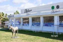 Vegano Terraza Bar Platero