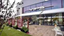 Amerikarra Vips - Garbera