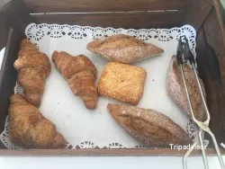 Francesa Doff Caffe