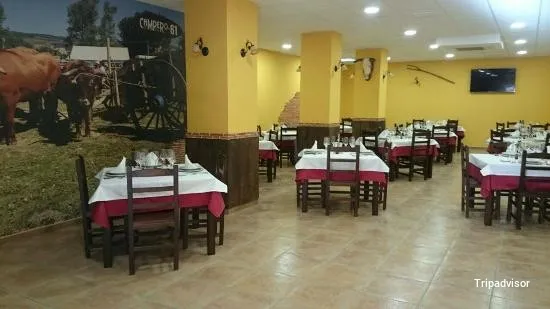 Beste Kokapenak Espainiarra Campero 61