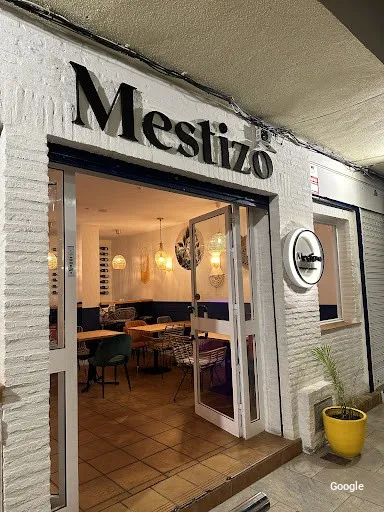 Vegetariana Mestizo