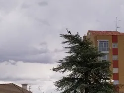 Vegetariana Escuela Infantil Virgen Del Mirón