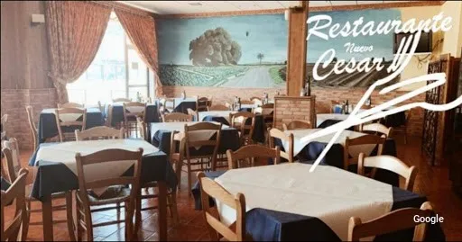 Mediterránea Nuevo cesar