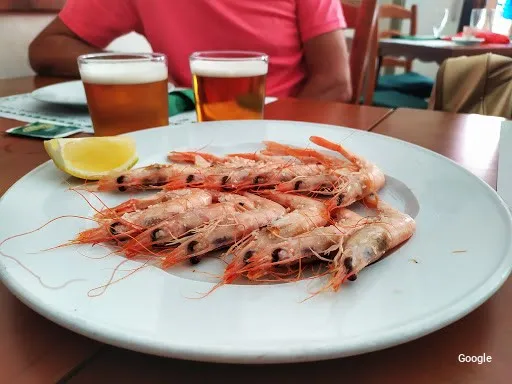 Barazki Jana Bar TRANSITO