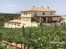 Mediterranean Vinos Chinchilla/ Bodega Dona Felisa