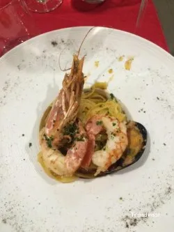 Italiana TRIBU
