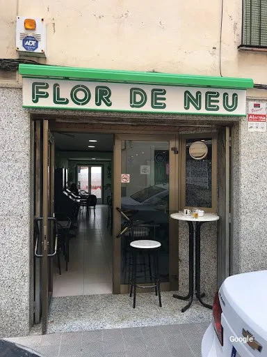 Vegetariana Flor De Neu