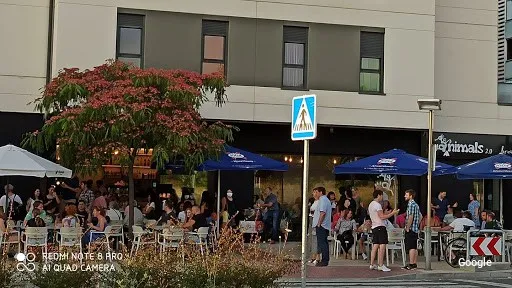Vegetarian Bar Animals Ripagaina 2.0