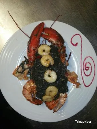 Vegetarian Tierra A.B