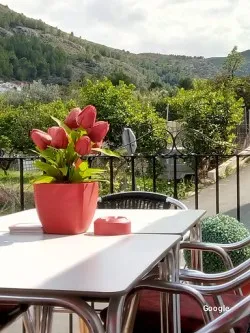 Otras cocinas españolas El Forn Vell