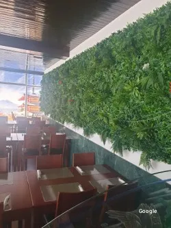 Asiática Wok Mediterraneo