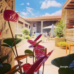 Vegetariana Casa Achacán