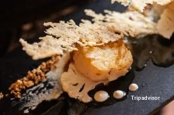 Francesa Butter & Basil