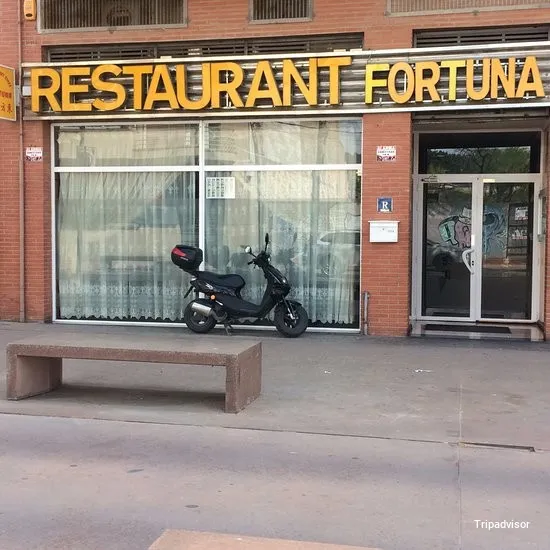 Xina Fortuna