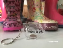 American La hucha la PAKA