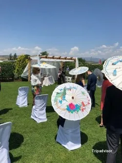 Vegetariana Complejo La Capea